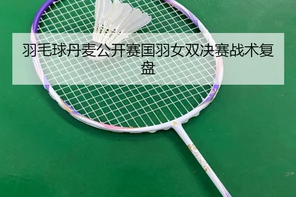 羽毛球丹麦公开赛国羽女双决赛战术复盘